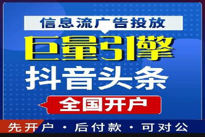 大型企业SEM外包实战案例
